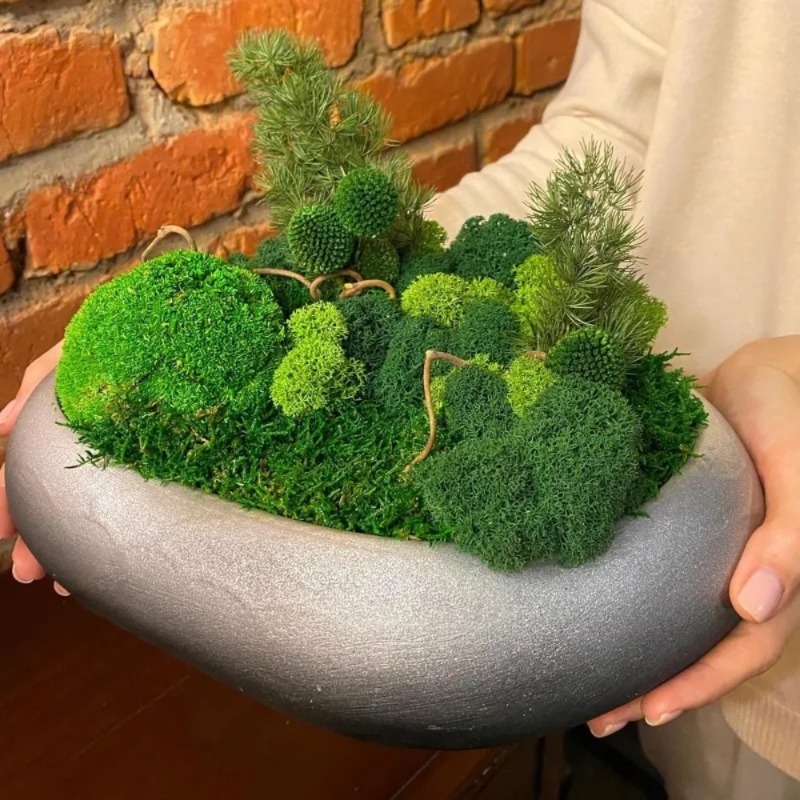 Fake Moss Artificial Green Mos - огляд і ціна Sphagnum Moss Dry