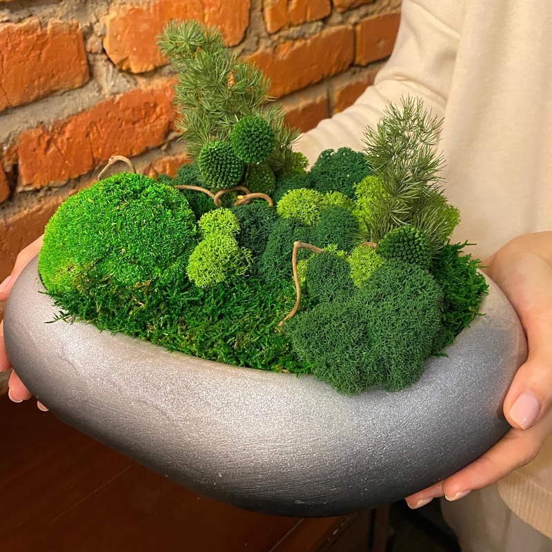 Artificial Green Moss Plants D - огляд і ціна Sphagnum Moss Dry