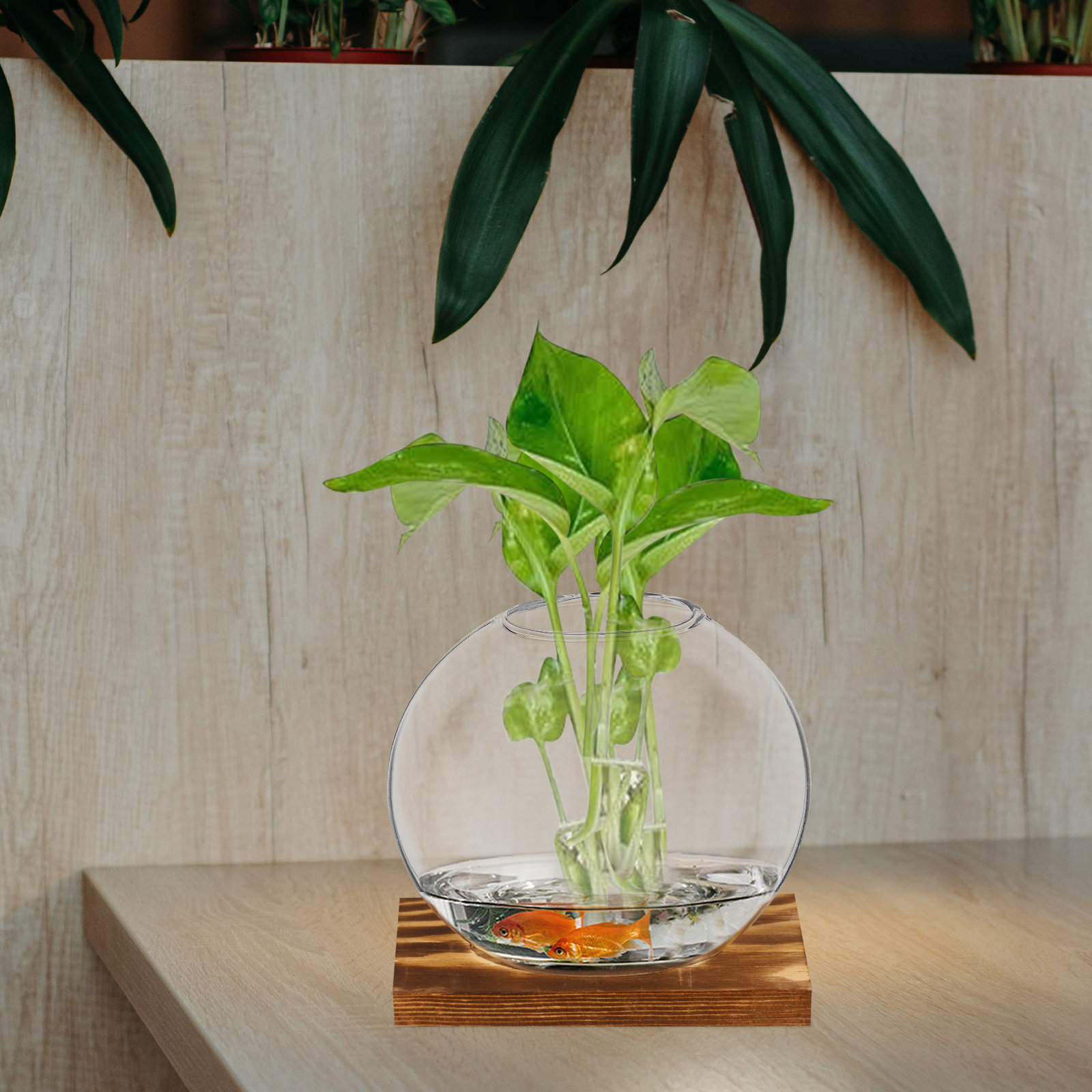 2Sets Glass Small Plant Vase F - огляд і ціна Propagation Station Vase